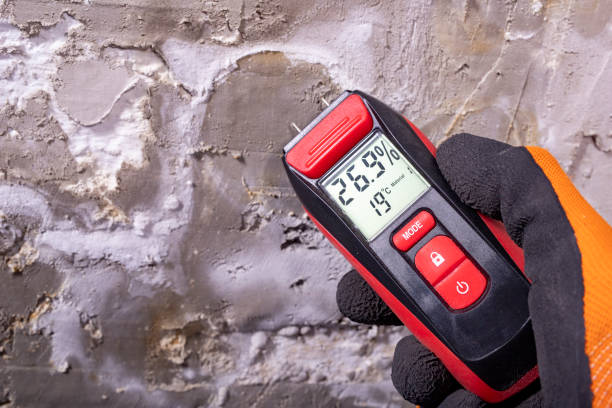 Best Toxic Mold Removal  in Four Corners, TX
