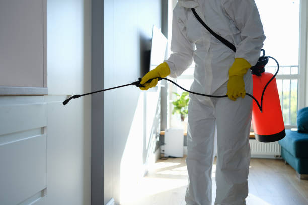 Best Professional Mold Removal  in Four Corners, TX