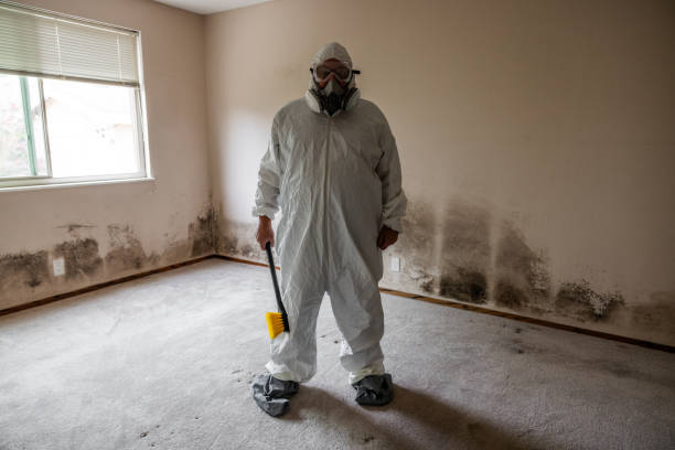 Four Corners, TX Mold Removal Company